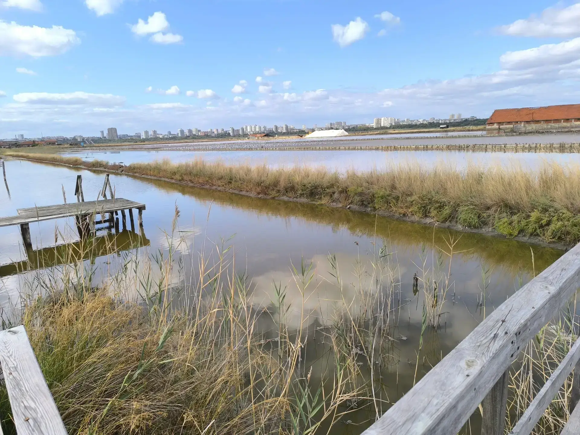 Różowe jezioro – lecznicze błota